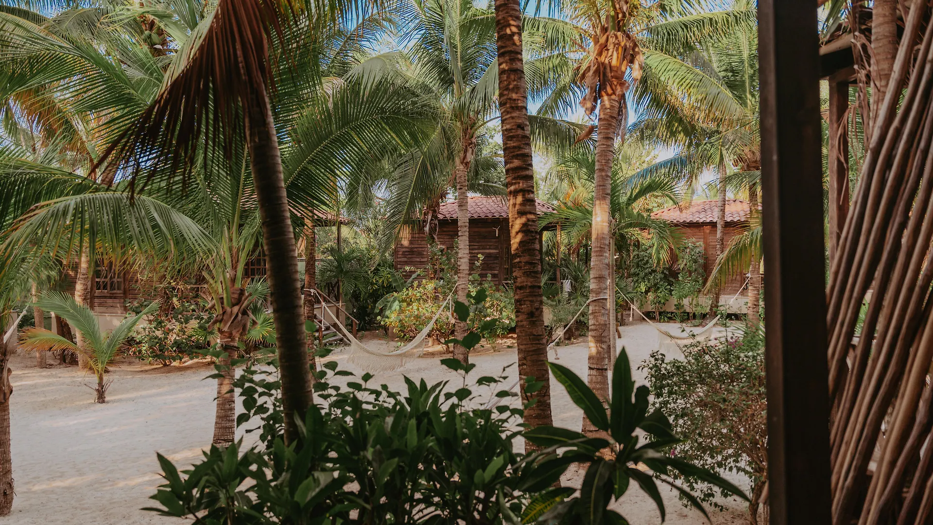 Petit Lafitte Beach Front Hotel & Bungalows Playa del Carmen