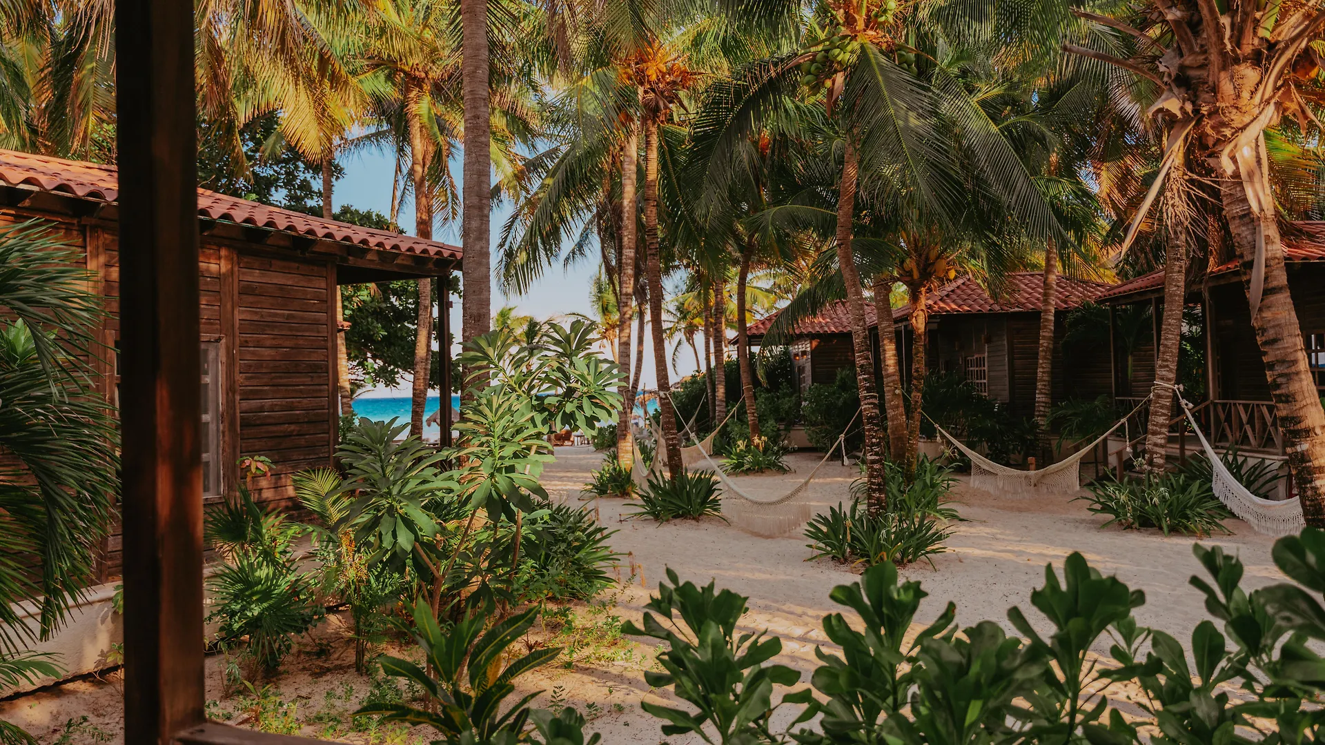 Petit Lafitte Beach Front Hotel & Bungalows Плая-дель-Кармен Мексика