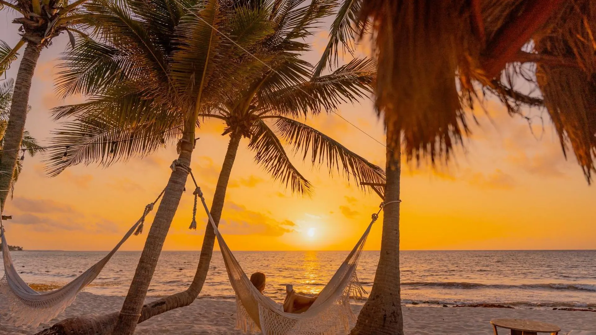 Petit Lafitte Beach Front Hotel & Bungalows Плая-дель-Кармен