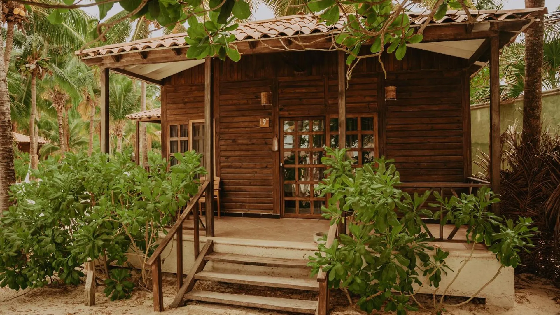 Petit Lafitte Beach Front Hotel & Bungalows Playa del Carmen