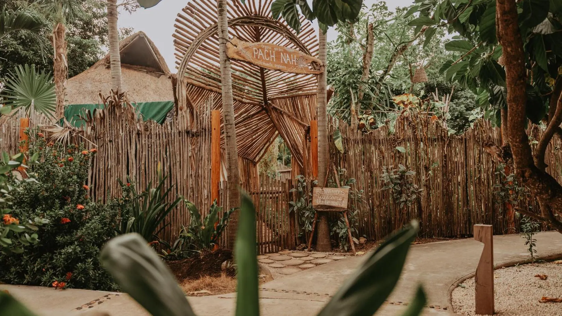 Petit Lafitte Beach Front Hotel & Bungalows Playa del Carmen Mexico