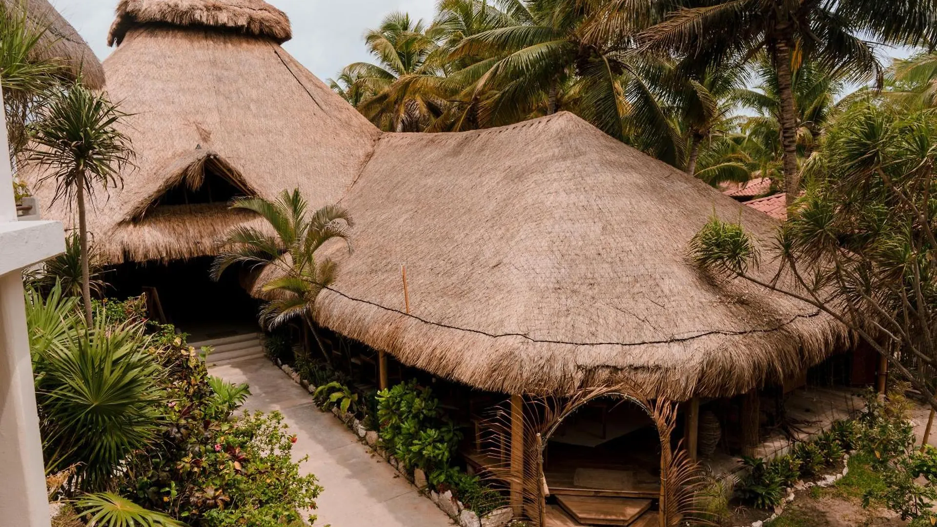 Petit Lafitte Beach Front Hotel & Bungalows Playa del Carmen