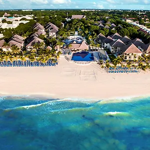 occidental-allegro-playacar.quintano-roohotels.com/