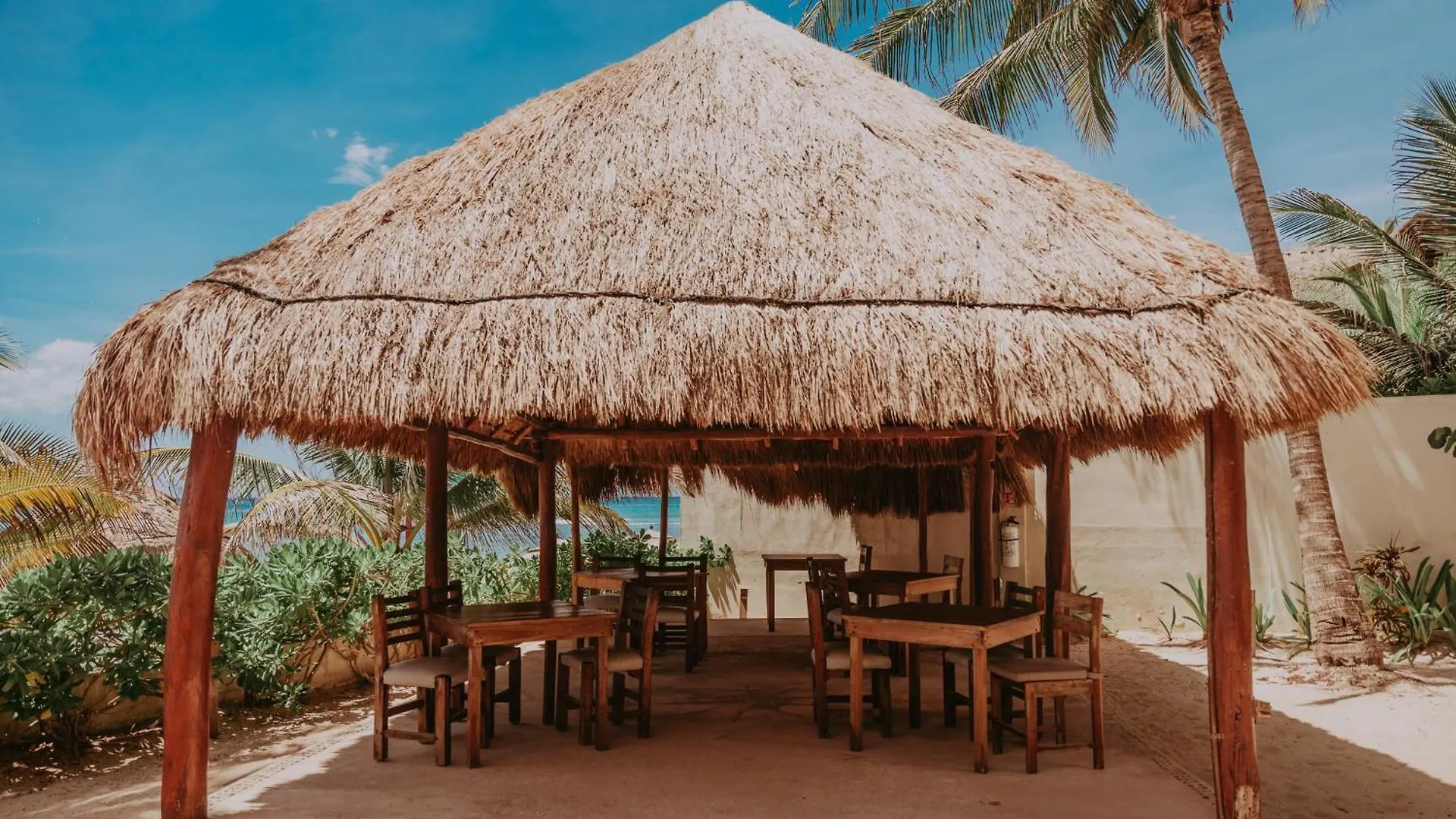 Petit Lafitte Beach Front Hotel & Bungalows Playa del Carmen Messico