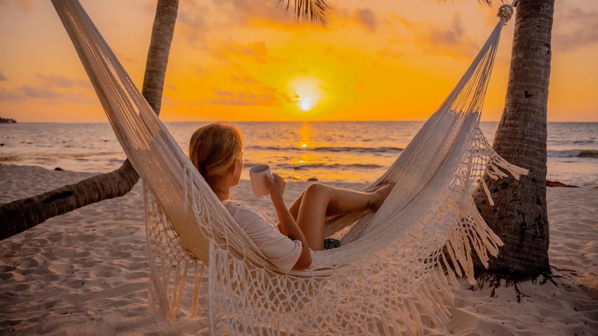 Petit Lafitte Beach Front Hotel & Bungalows Playa del Carmen